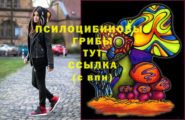 mdpv Верхний Тагил