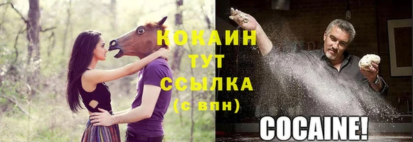 mdpv Верхний Тагил
