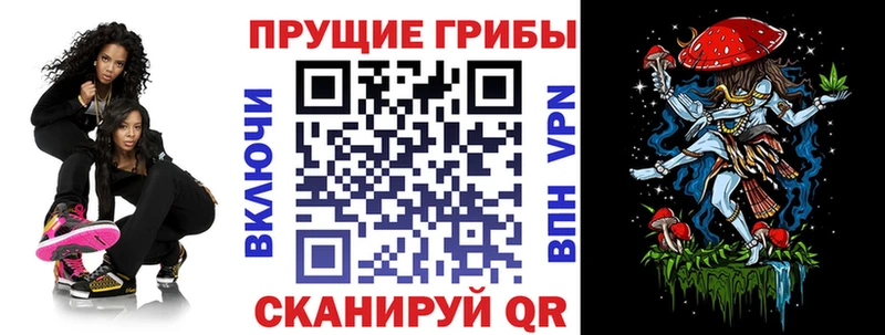 Галлюциногенные грибы мухоморы  это клад  Белгород  закладки 